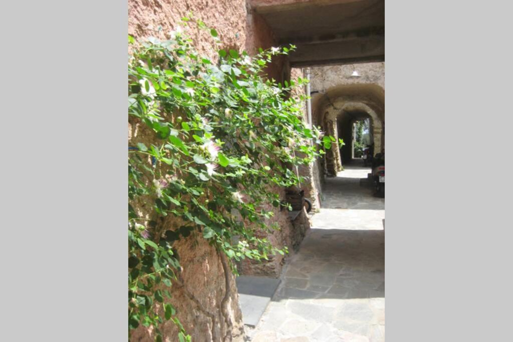 La Casa Di Sandra A Noli Vila Exterior foto