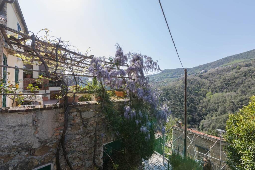 La Casa Di Sandra A Noli Vila Exterior foto