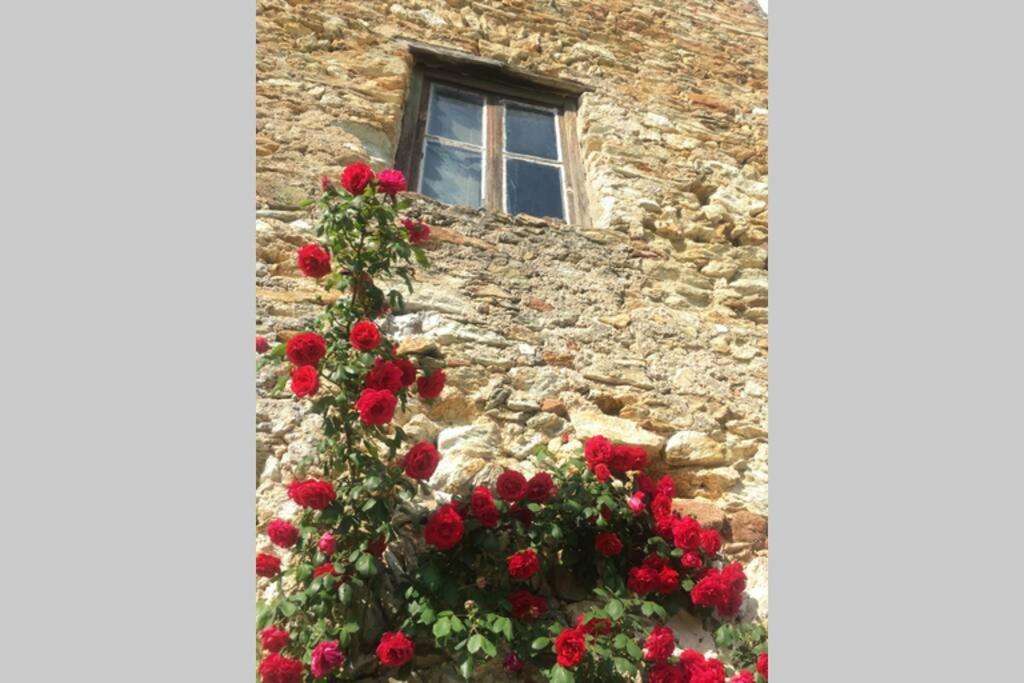La Casa Di Sandra A Noli Vila Exterior foto
